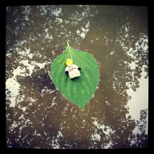 Jason C. Brown- Play