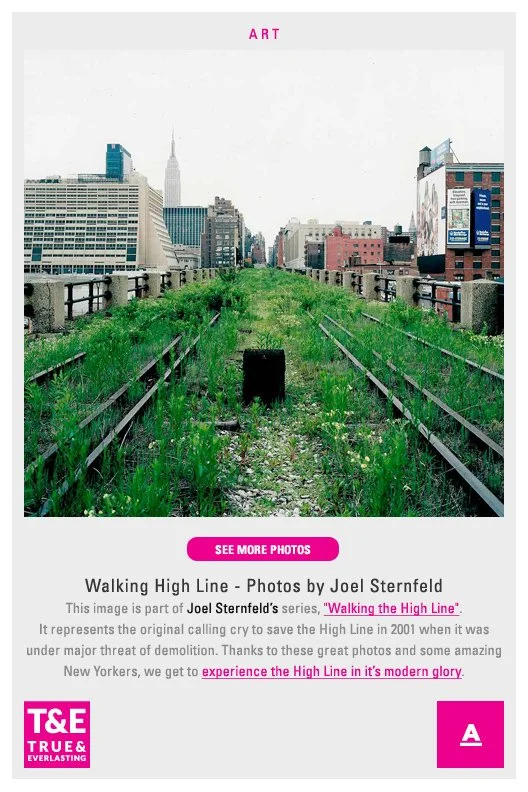 art_high_line_sternfeld.jpg
