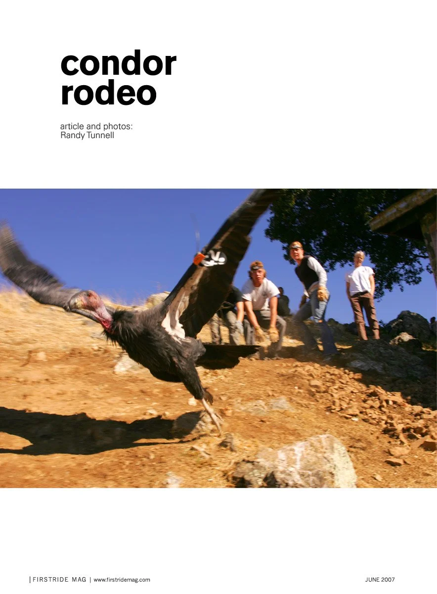 061-039_condor_rodeo1_5727533890_o.jpg