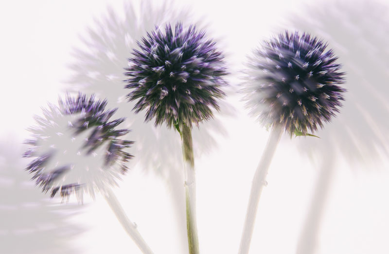 Double exposure.
