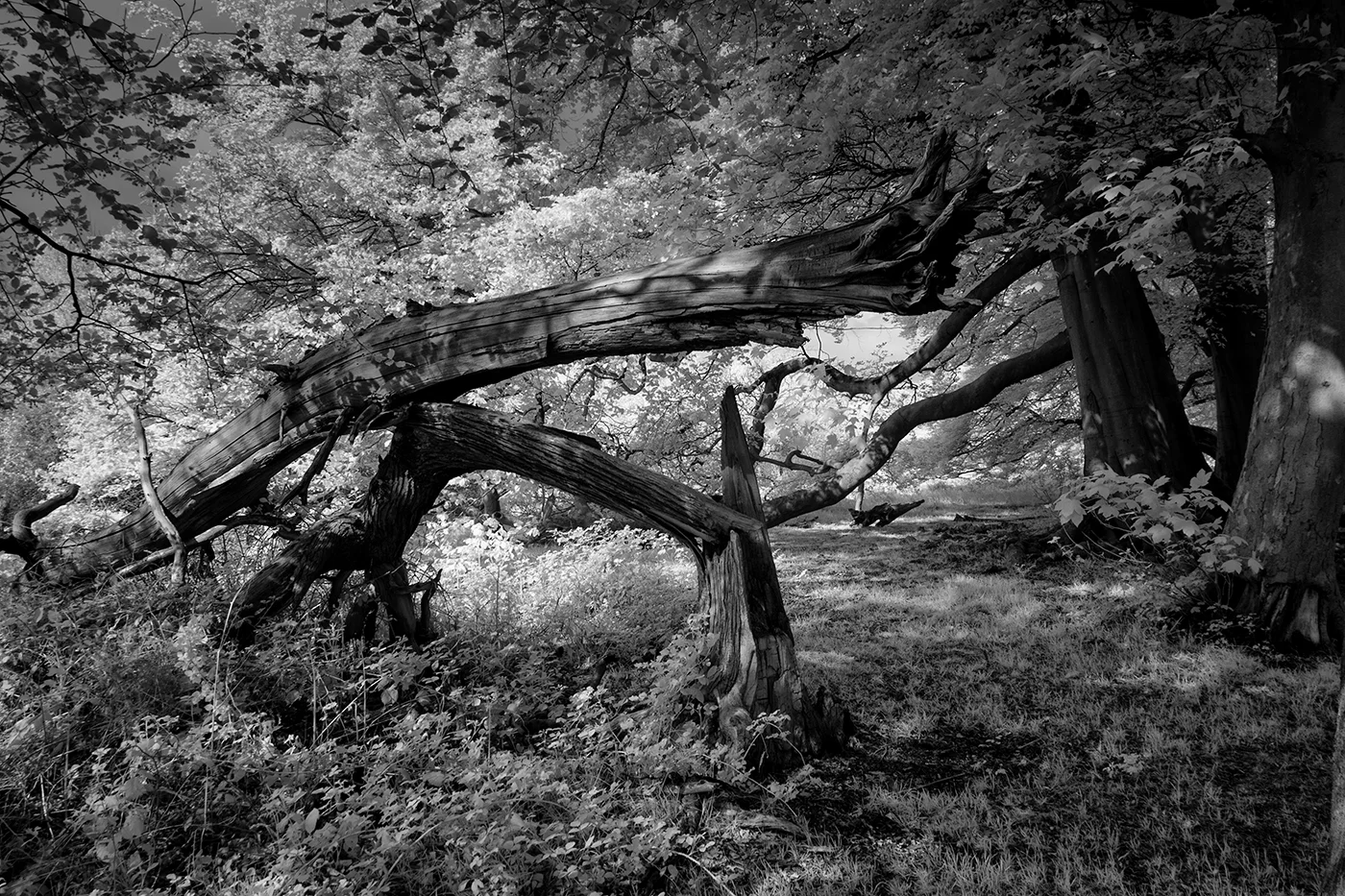 chalke ir 2.jpg