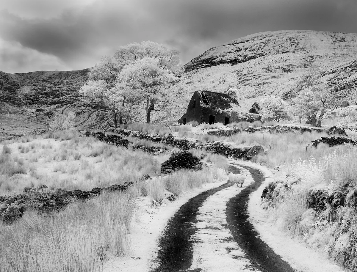 Road to Nowhere