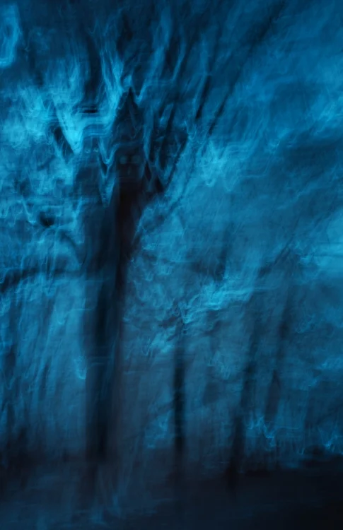 Spirit of the Wood | Infra red ICM