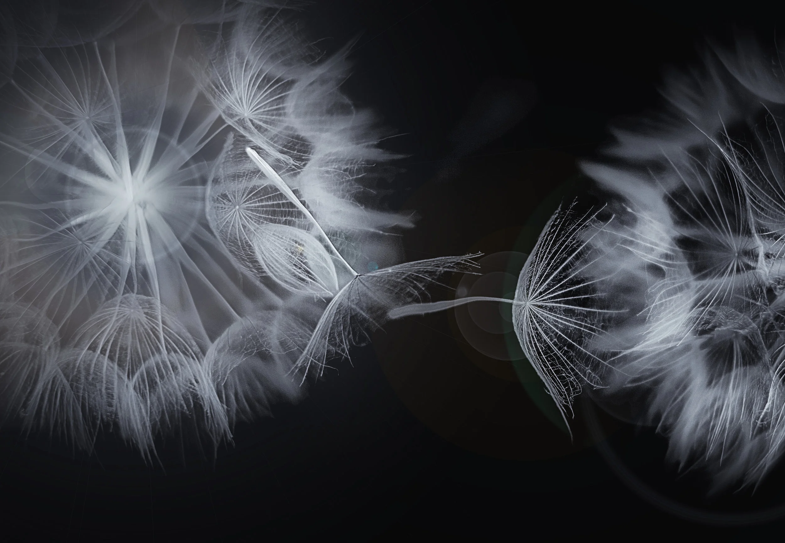 Protoplanetary Nubula