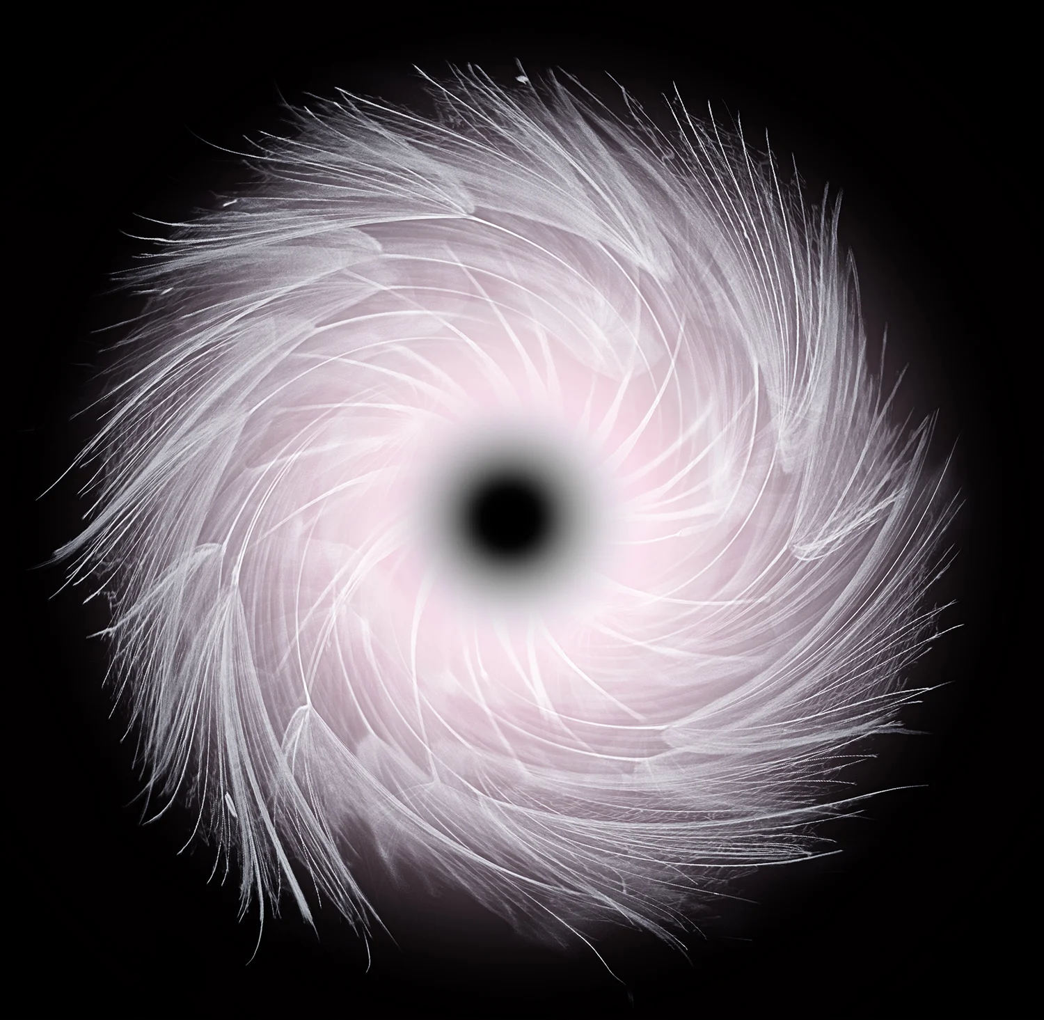 Black Hole 4
