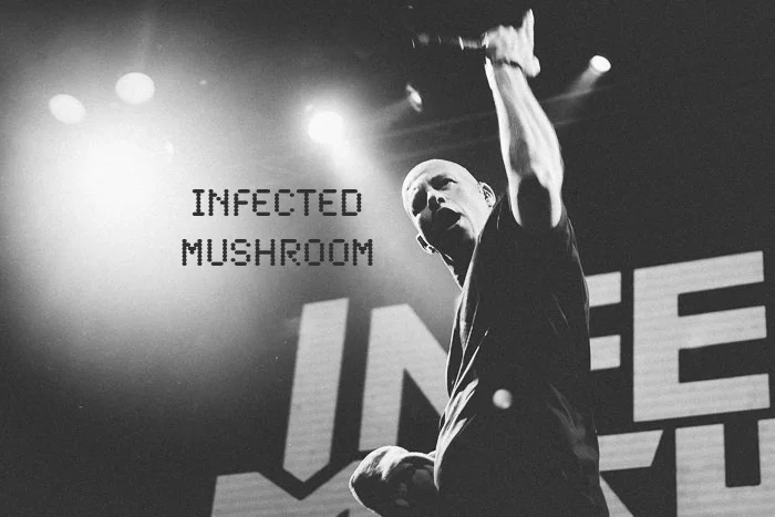 Концертная фотосъемка Infected Mushroom