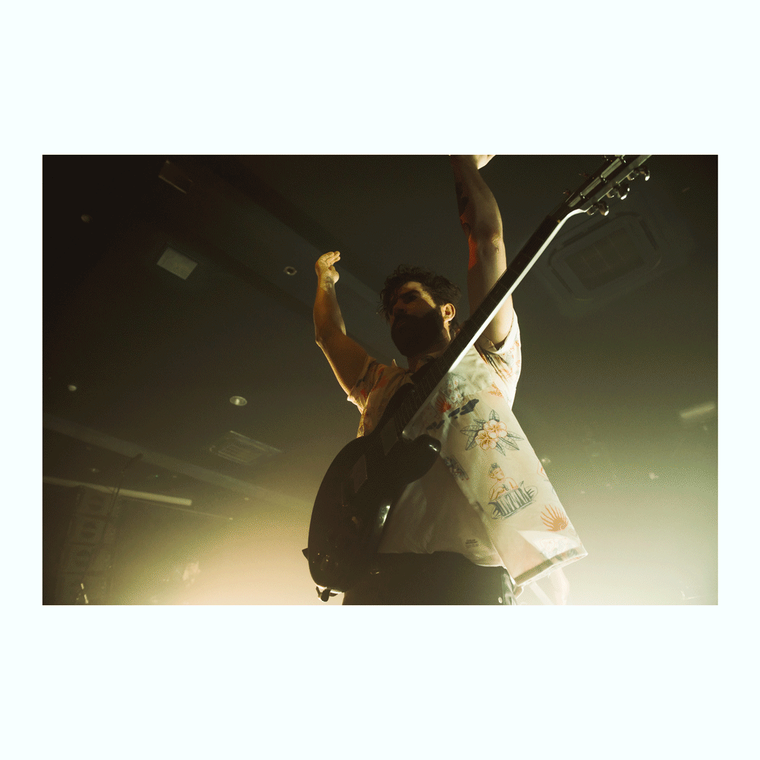 foals