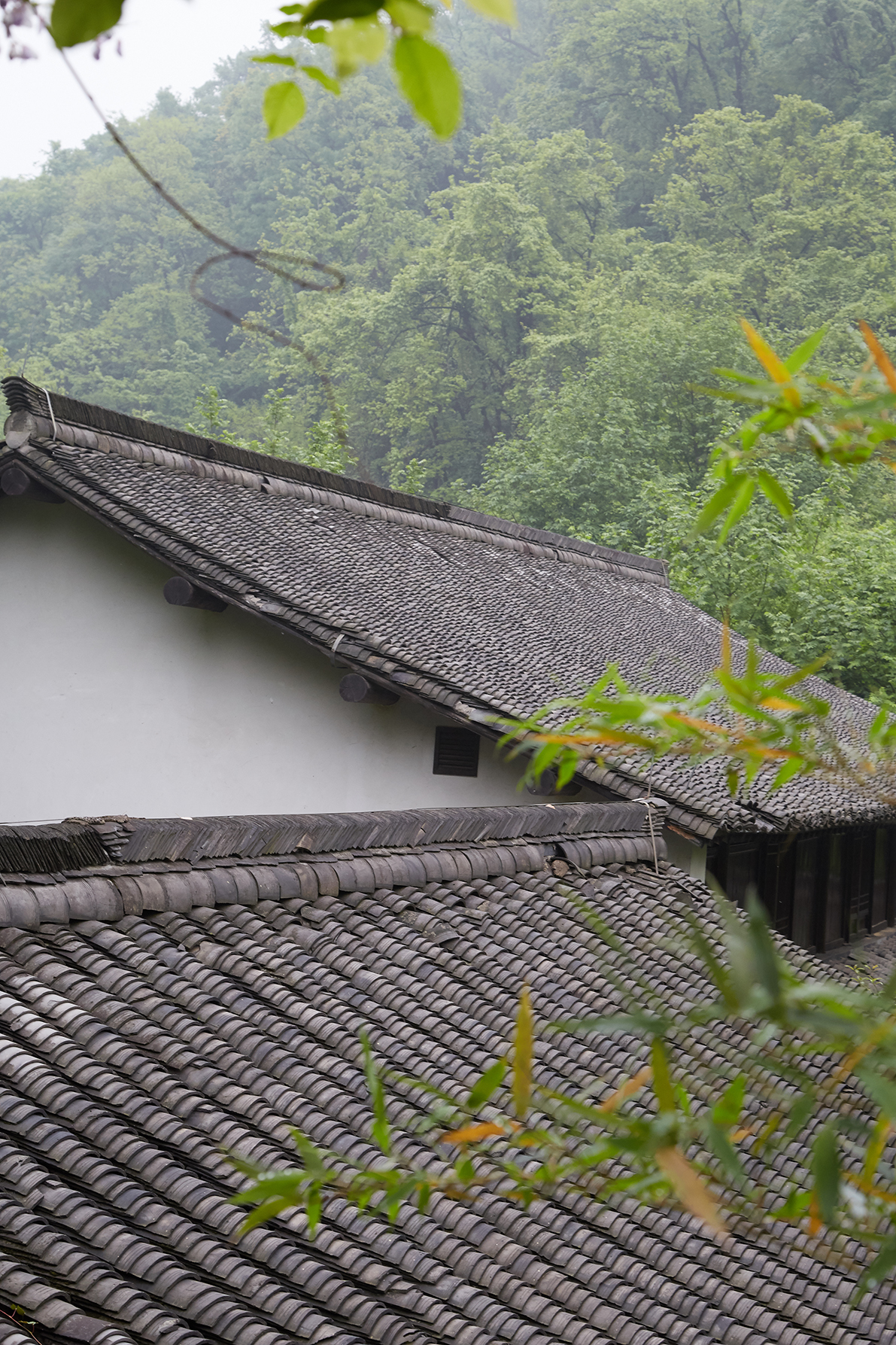 Nella zona di Hangzhou, famosa per la coltivazione del tè, al centro di una valle incantevole costellata di templi antichi, si trova un borgo medievale di grande interesse: Fayun. Grazie al recente intervento di una catena alberghiera, il borgo è stato completamente ristrutturato e riportato in vita. Il complesso del borgo trasformato in resort confina con lo splendente Temple of Soul’s Retreat (patrimonio Unesco) e il Buddhist College, una delle più importanti accademie buddhiste in Cina.
