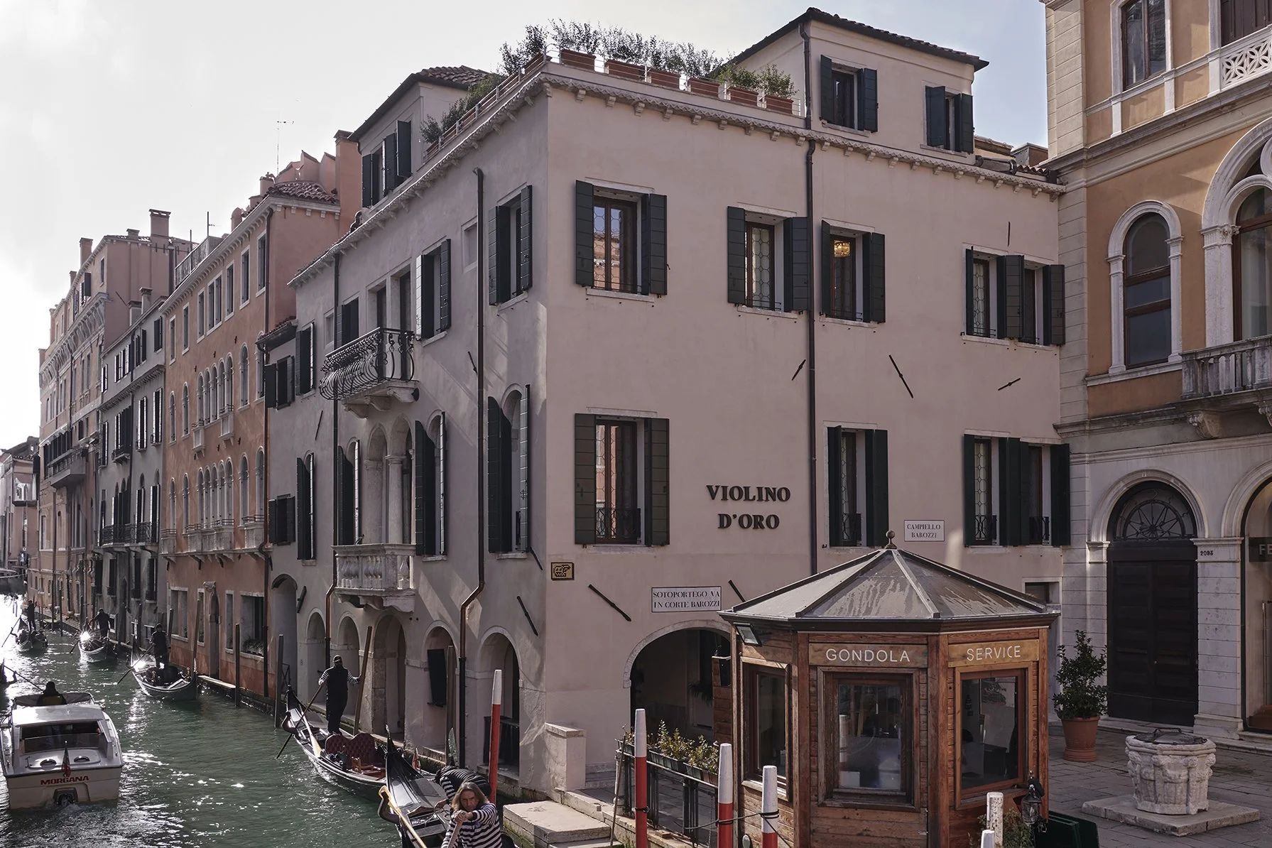 Violino_D'oro_2024_020867.jpg