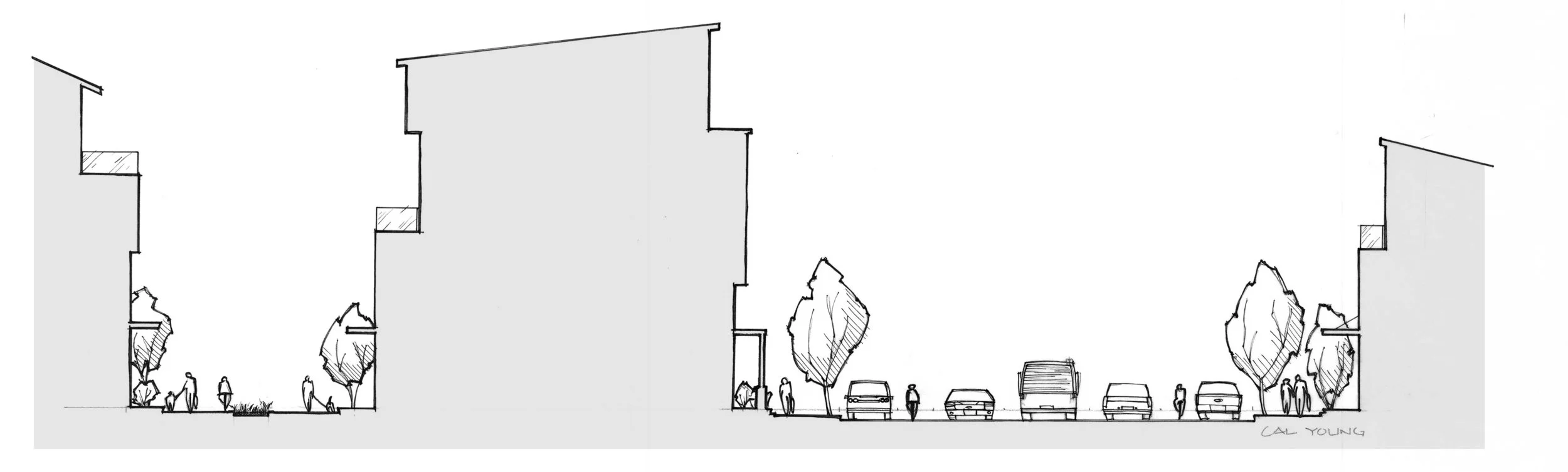 CalYoungCrossSection.jpg