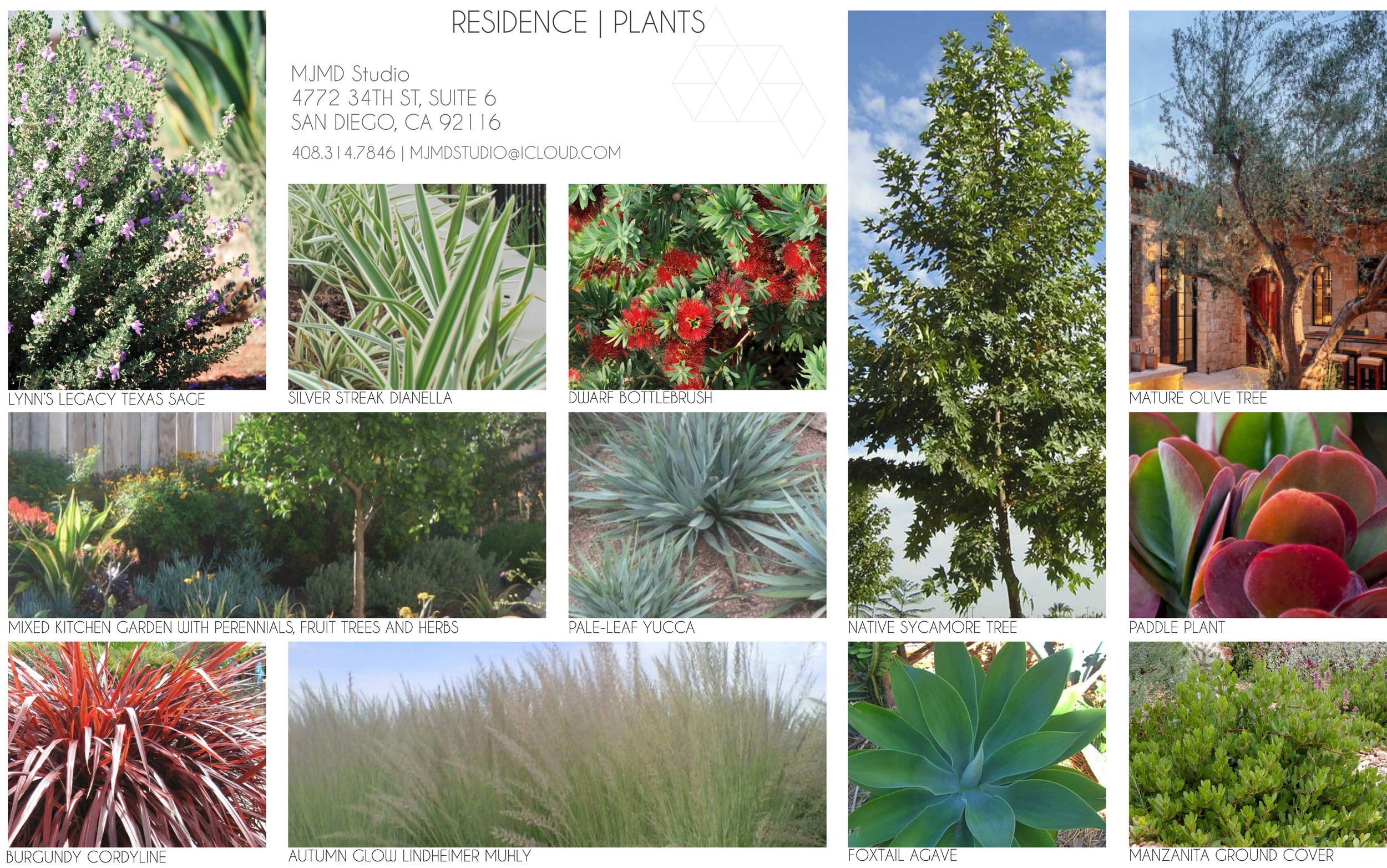 Podlevsky_Plants_web.jpg