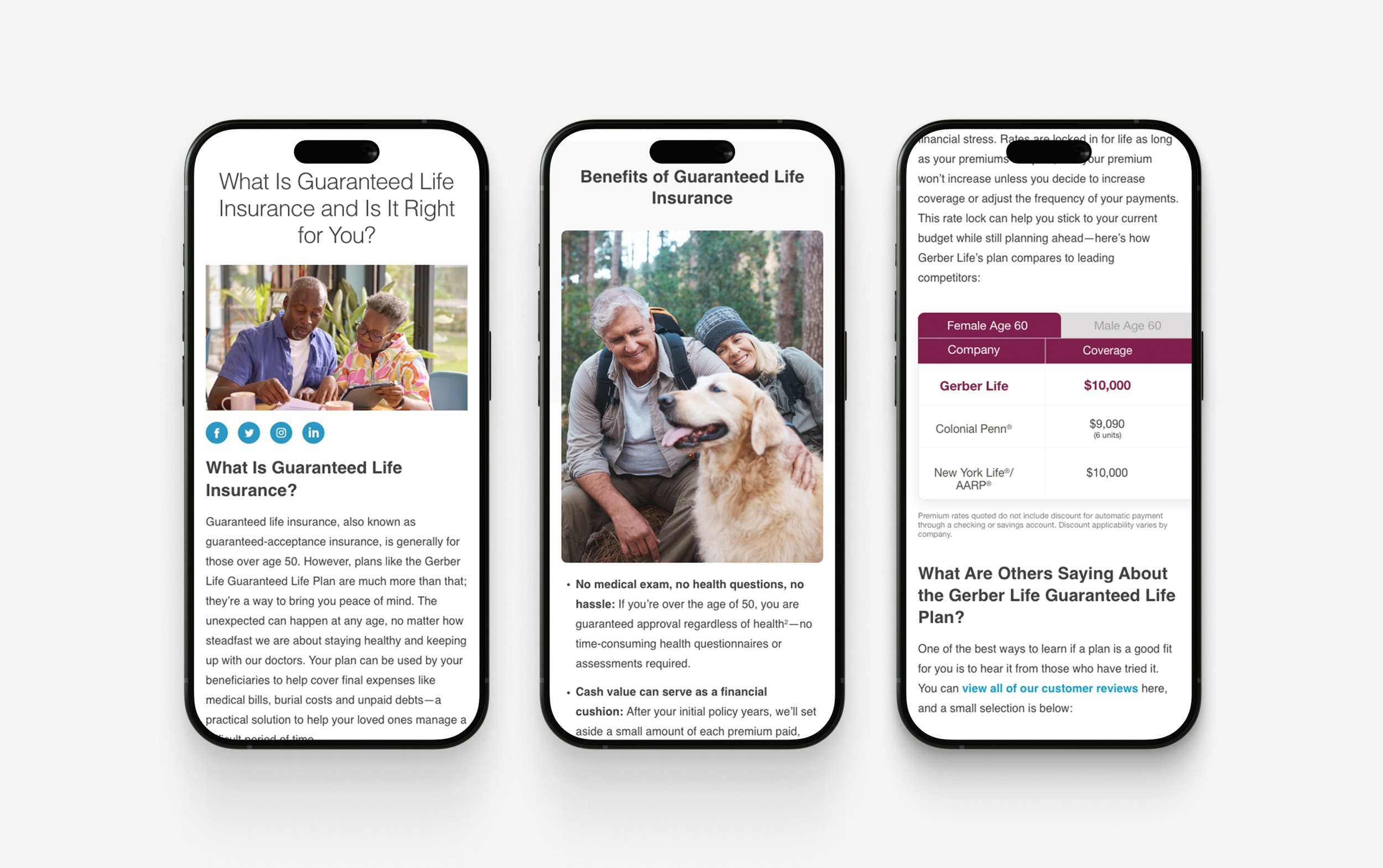 Gerber Mobile Article Layout.jpg