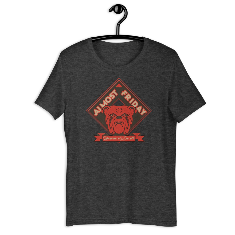 unisex-premium-t-shirt-dark-grey-heather-front-60e652f020c74.png