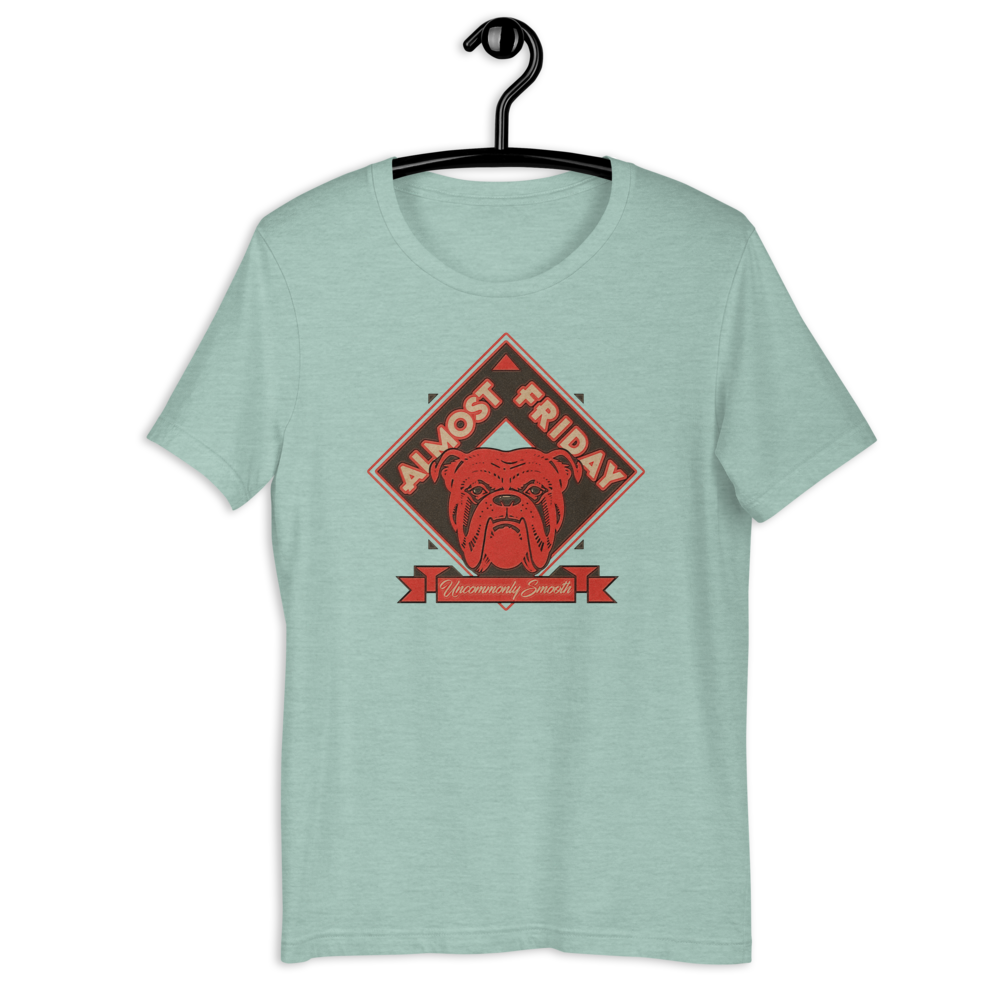 unisex-premium-t-shirt-heather-prism-dusty-blue-front-60e652f023b30.png