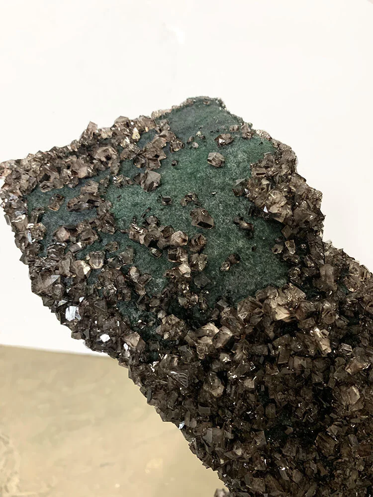  Swallow My Prize (Detail) 