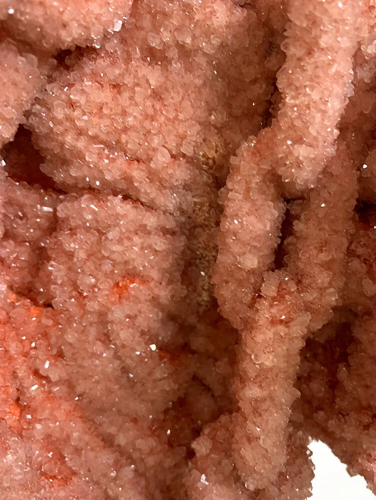  Thats all folks (Detail) 