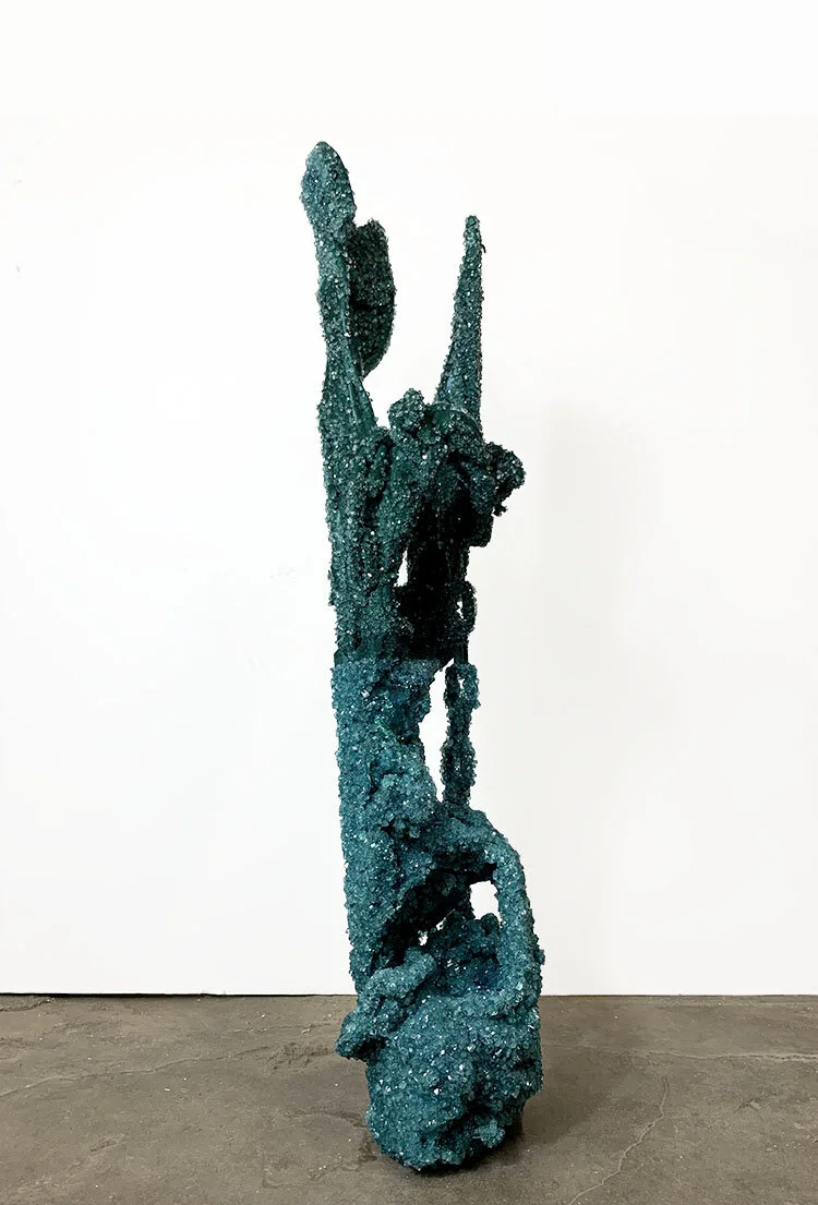  What it boils down to   Button Down Shirts, Resin, Nylon fibers, chain, dye, sodium crystals 23 in x 12 in x 7 in  2021 