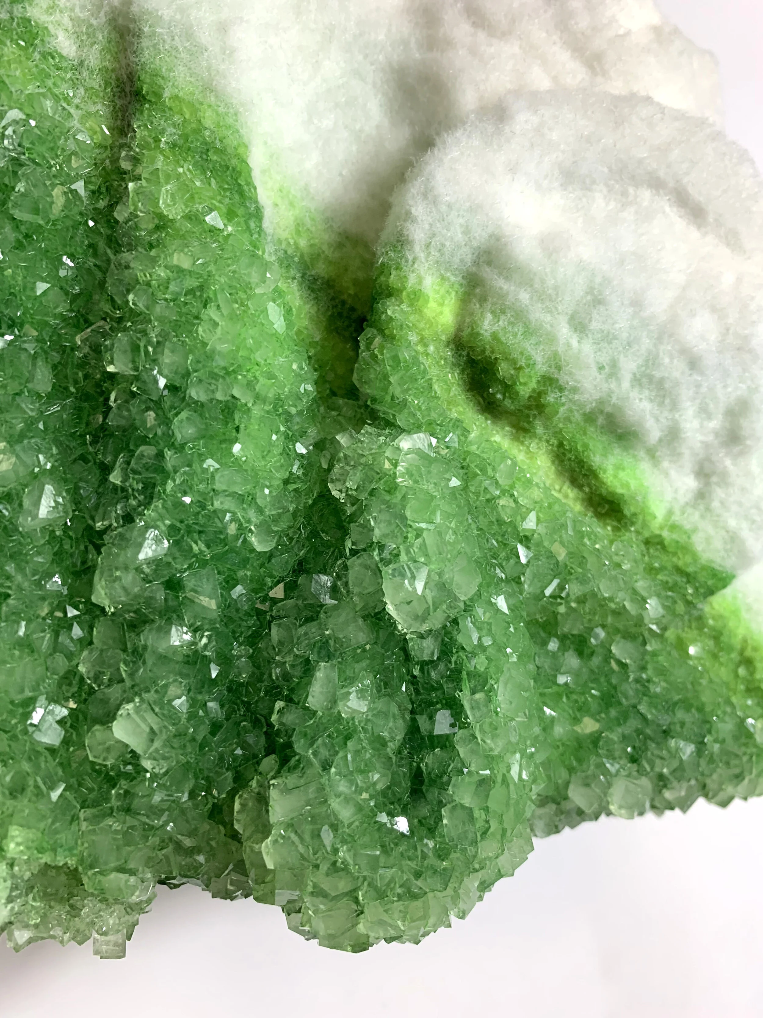  Within a 16th (Detail) 