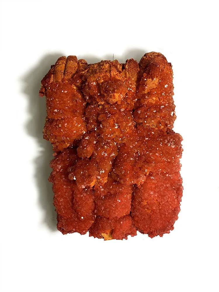  Reading the room wrong   Up-cycled Gloves and Teddy Bears, Resin, Nylon fibers, chain, dye, sodium crystals 18 in x 12 in x 4 in  2021 