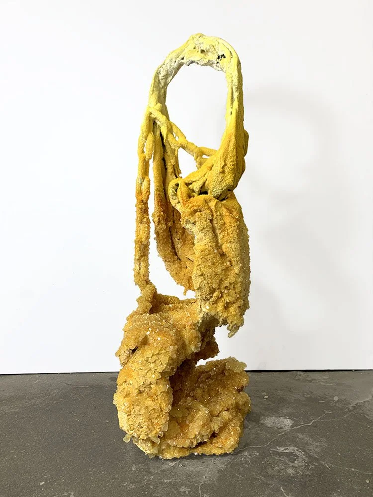  Train with no love  Up-cycled shirts, nylon, dye, sodium grown crystals  32” x 11” x 8”   2020 