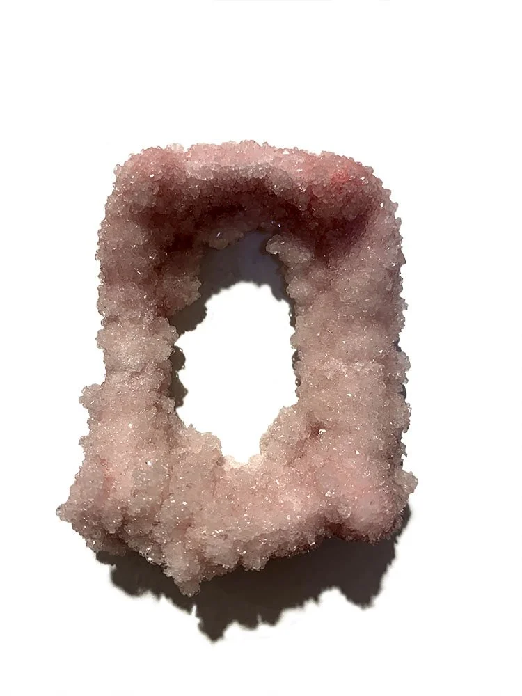  Blood Donor (Detail) 