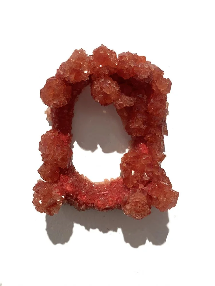  Blood Donor (Detail) 