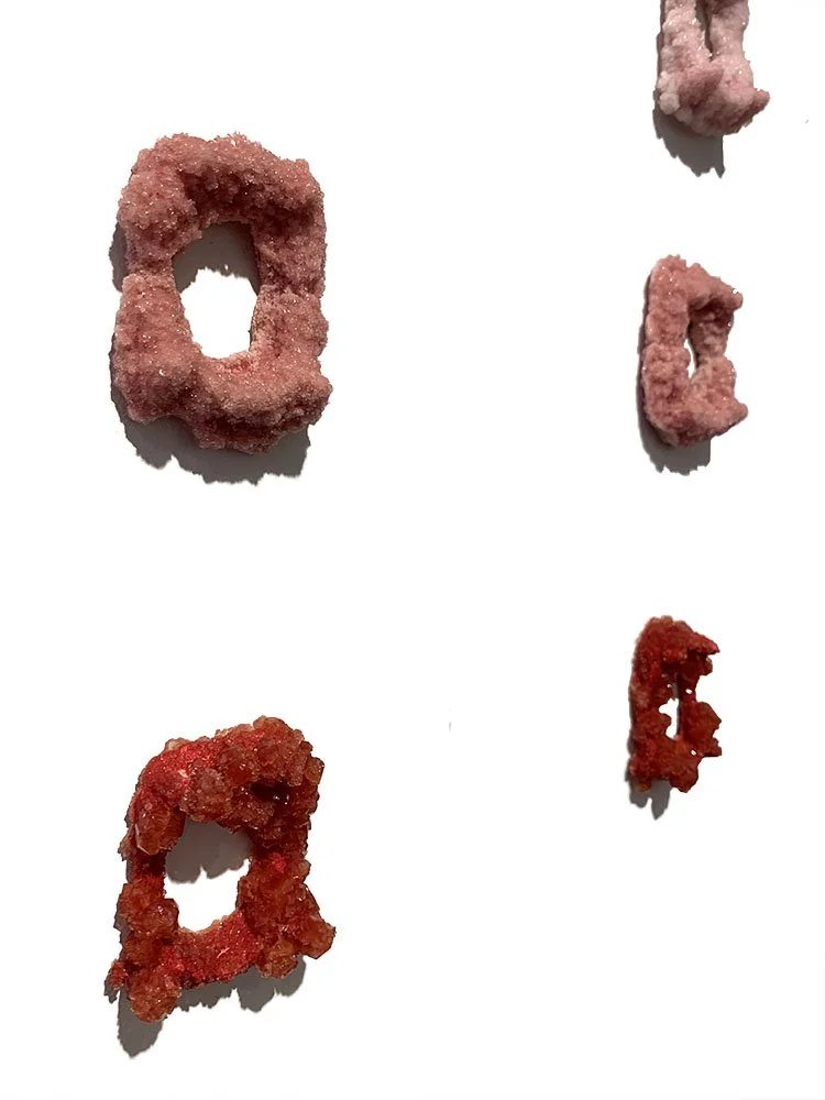  Blood Donor (Detail) 