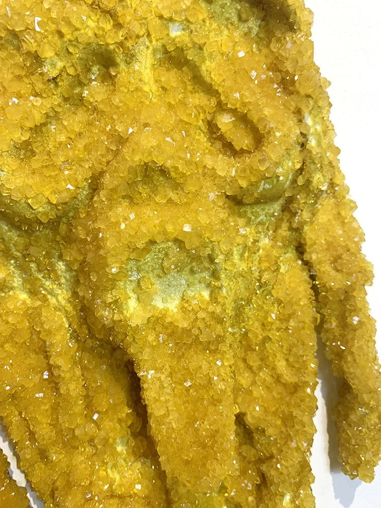  A shroud for apricots (Detail) 