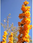 mamma-nature-10.jpg