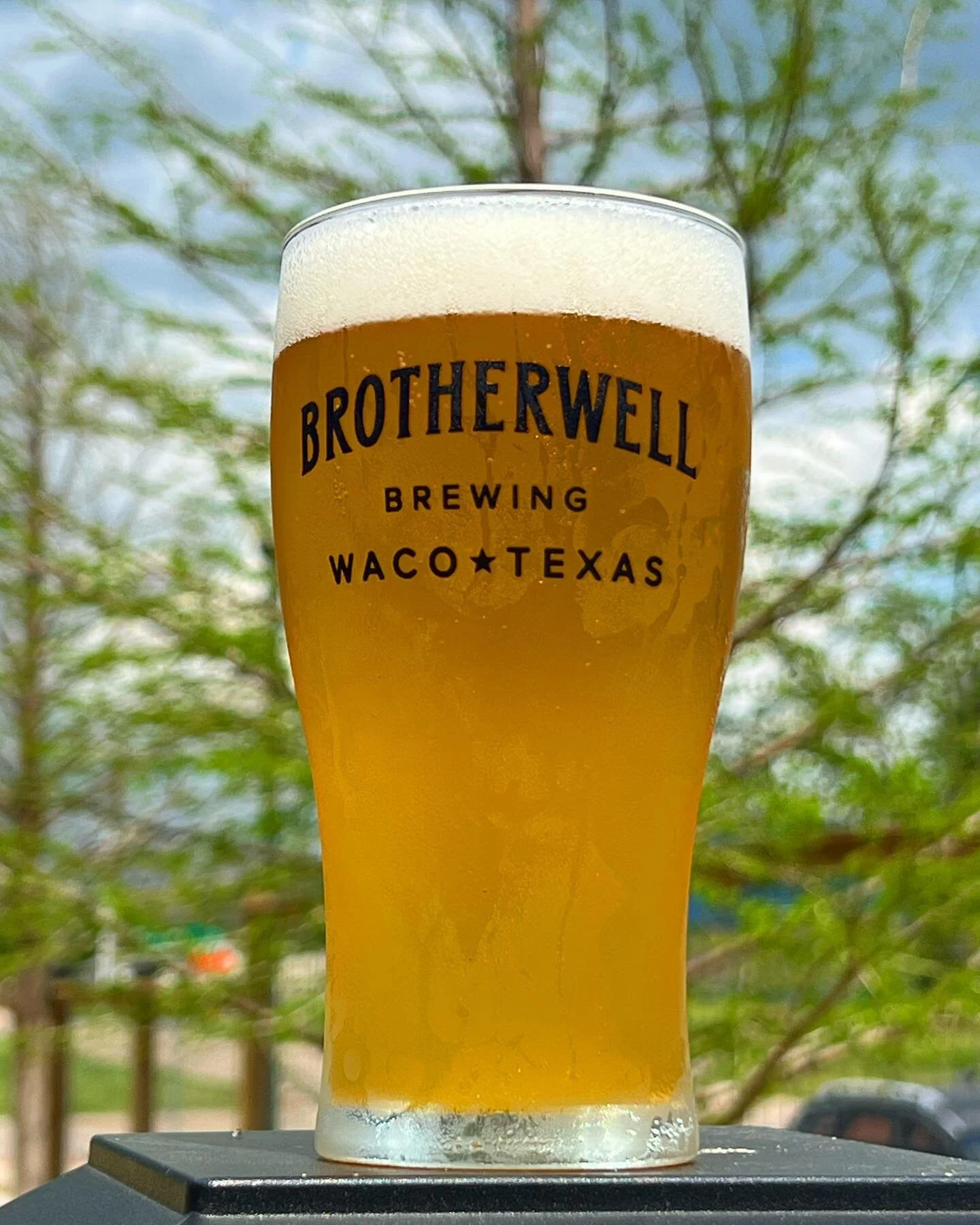 We see green on our trees on this beautiful Spring Saturday! Enjoy the Sun and space of our Beer Garden while soaking it all in.