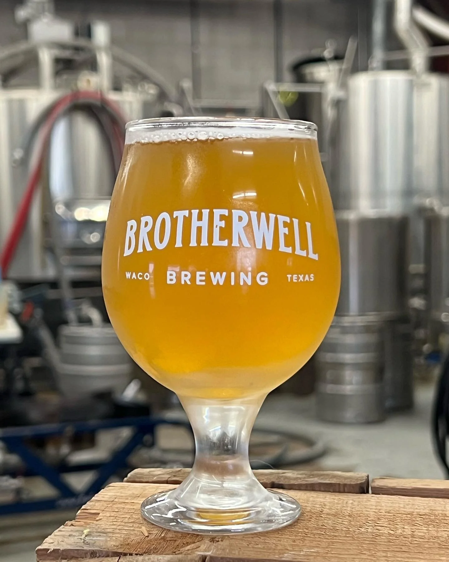 New Beer!! SHaM Pale Ale, 5.2%

Our 2023 Small Batch Series continues with a Single Hop and Malt (get it?) pale ale that explores Pilsner malt and Saltana hops. Pilsner malt provides a light biscuity body with a touch of sweet lemongrass while Sultan