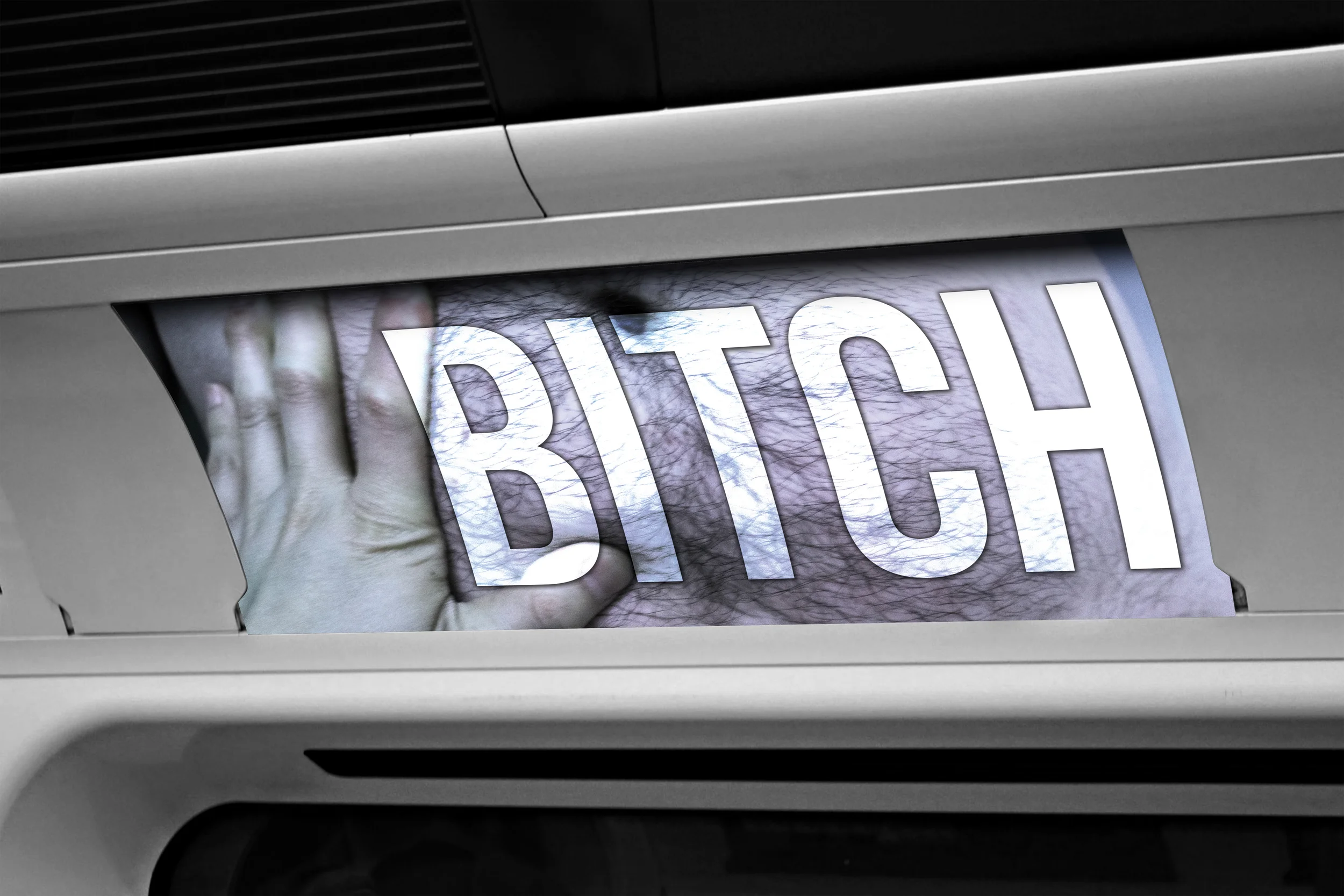 4Bitch.jpg
