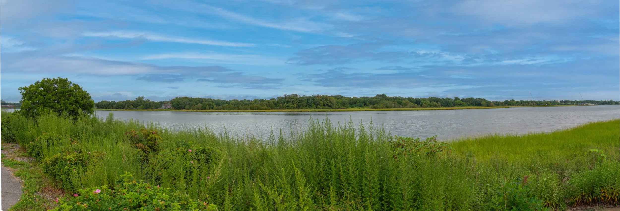 DSC_8526-Pano.jpg