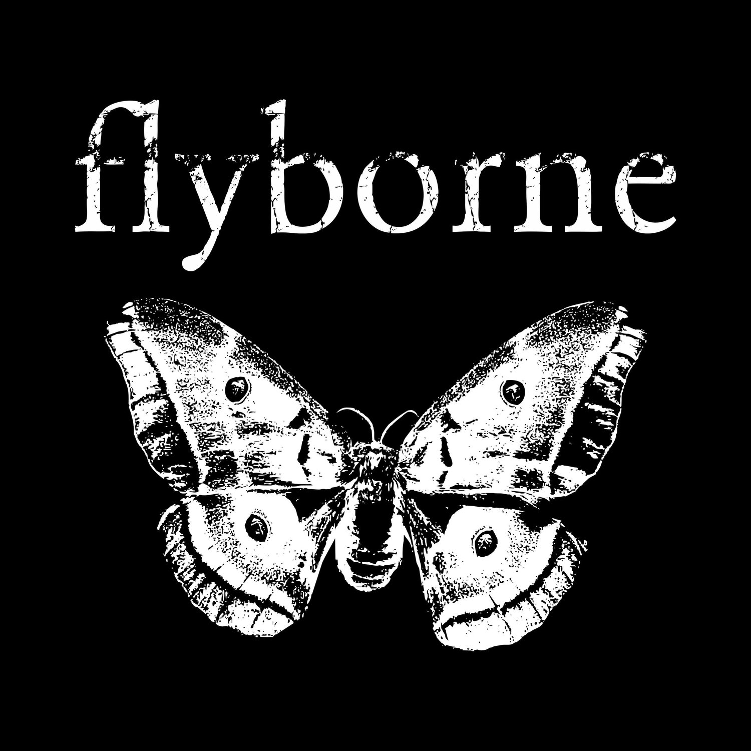 RockFest: Battle of the Bands 2025 - Round 1 Winner FLYBORNE