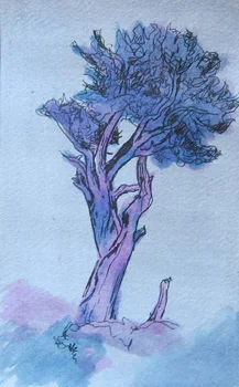 2009 3x5 Ink