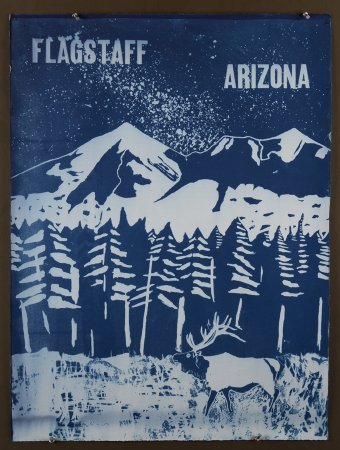 2013 22x30 Cyanotype