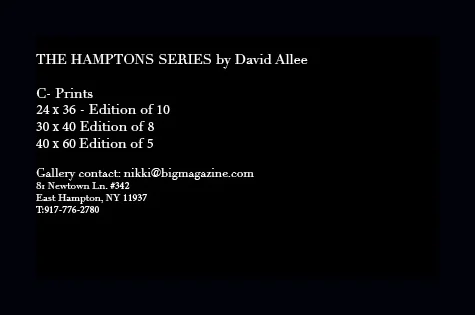 Text Hampton series .jpg