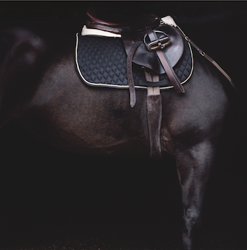 Photographed by Toby McFarlan Pond -The Horse C Print limited editions 24x36 / 30x45 / 40x60 Contact: nikki@bigmagazine.com