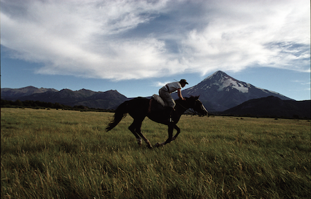 Photographed by Dawn McCarthy - Horserider C Print limited editions 24x36 / 30x45 / 40x60 Contact: nikki@bigmagazine.com
