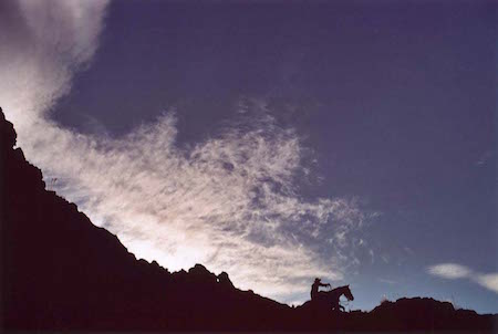 Photographed by Dawn McCarthy -Silhouette C Print limited editions 24x36 / 30x45 / 40x60 Contact: nikki@bigmagazine.com