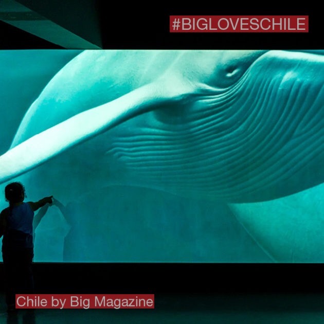 The National Museum of Natural History in Santiago