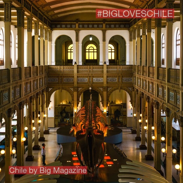 The Quinta Normal Park was designed by the XIX century erudite patriots as an encouraging educative space. Today, five museums exist inside its perimeter. The most characteristic of them is the National Museum of Natural History, lodged in a be