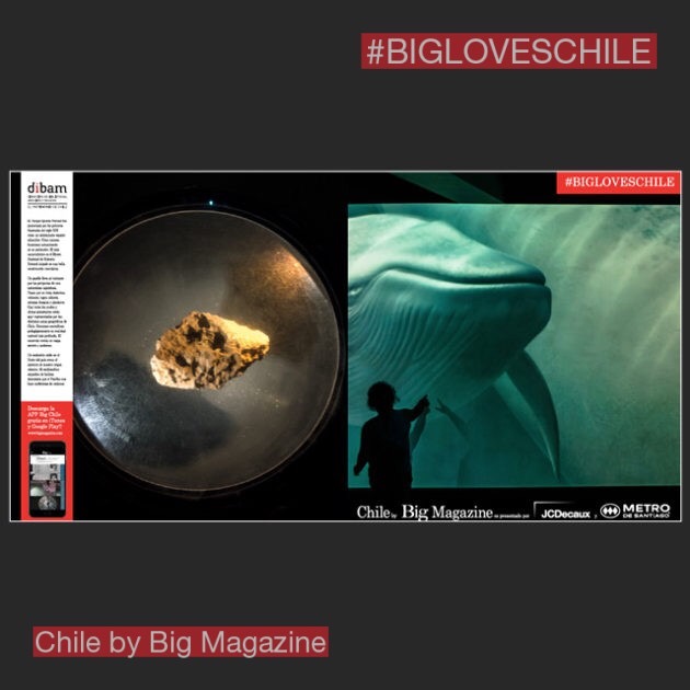 The National Museum of Natural History. Big Magazine Exhibition of the Santiago Museums in the Metro de Santiago presented by the Dibam (Department of Libraries, Archives and Museum of Chile). 
