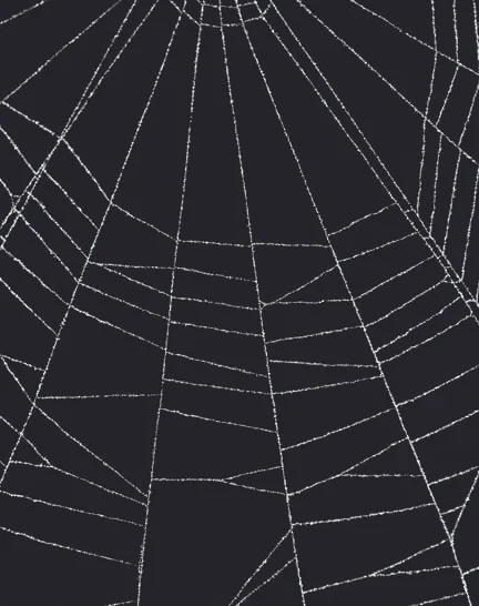 spiderweb copy.jpg