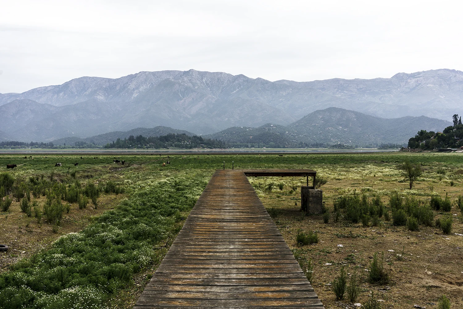 Laguna de Aculeo, Región de Coqu