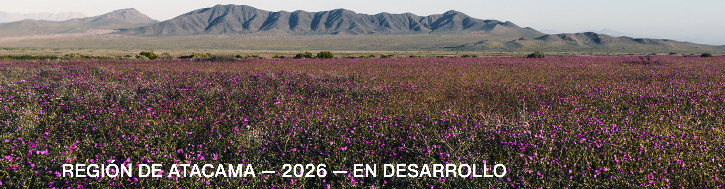 region de atacama.png