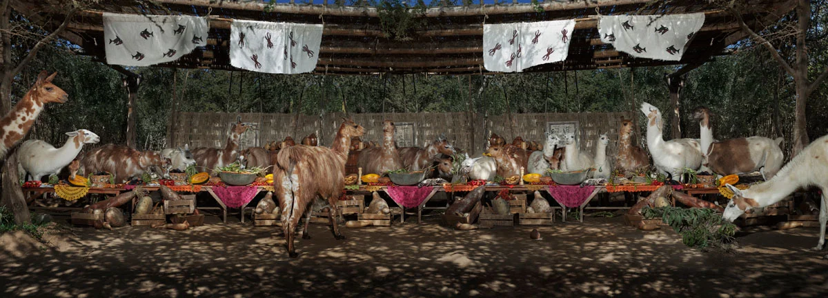 LamasFeast.jpg