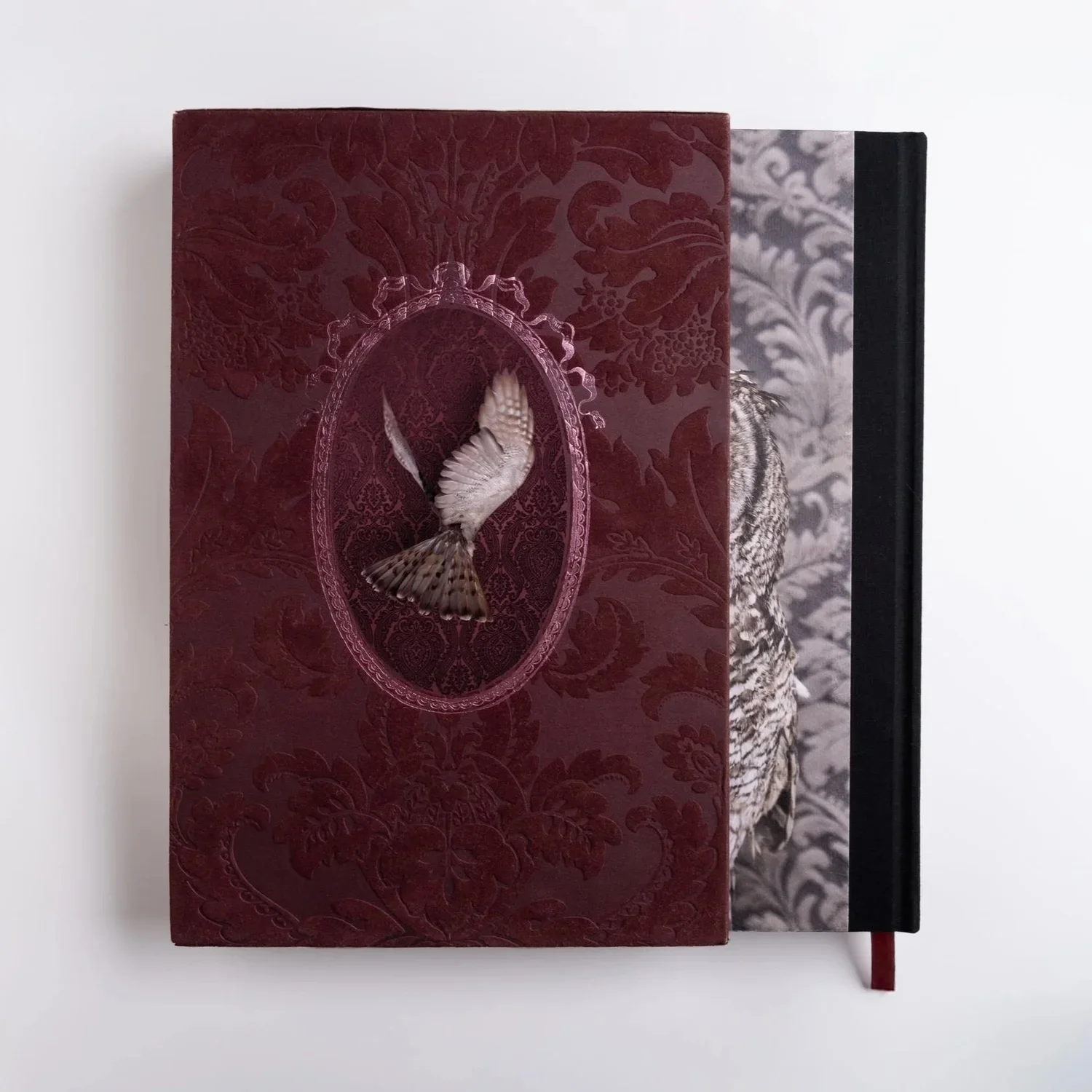 BirdsofaFeather_ClaireRosen_BookLE_Slipcase_Back.webp