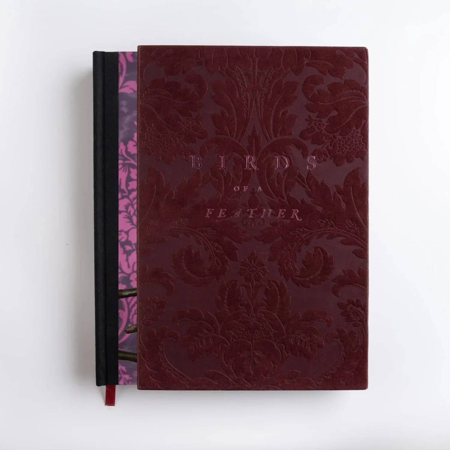 BirdsofaFeather_ClaireRosen_BookLE_Slipcase_Front.webp