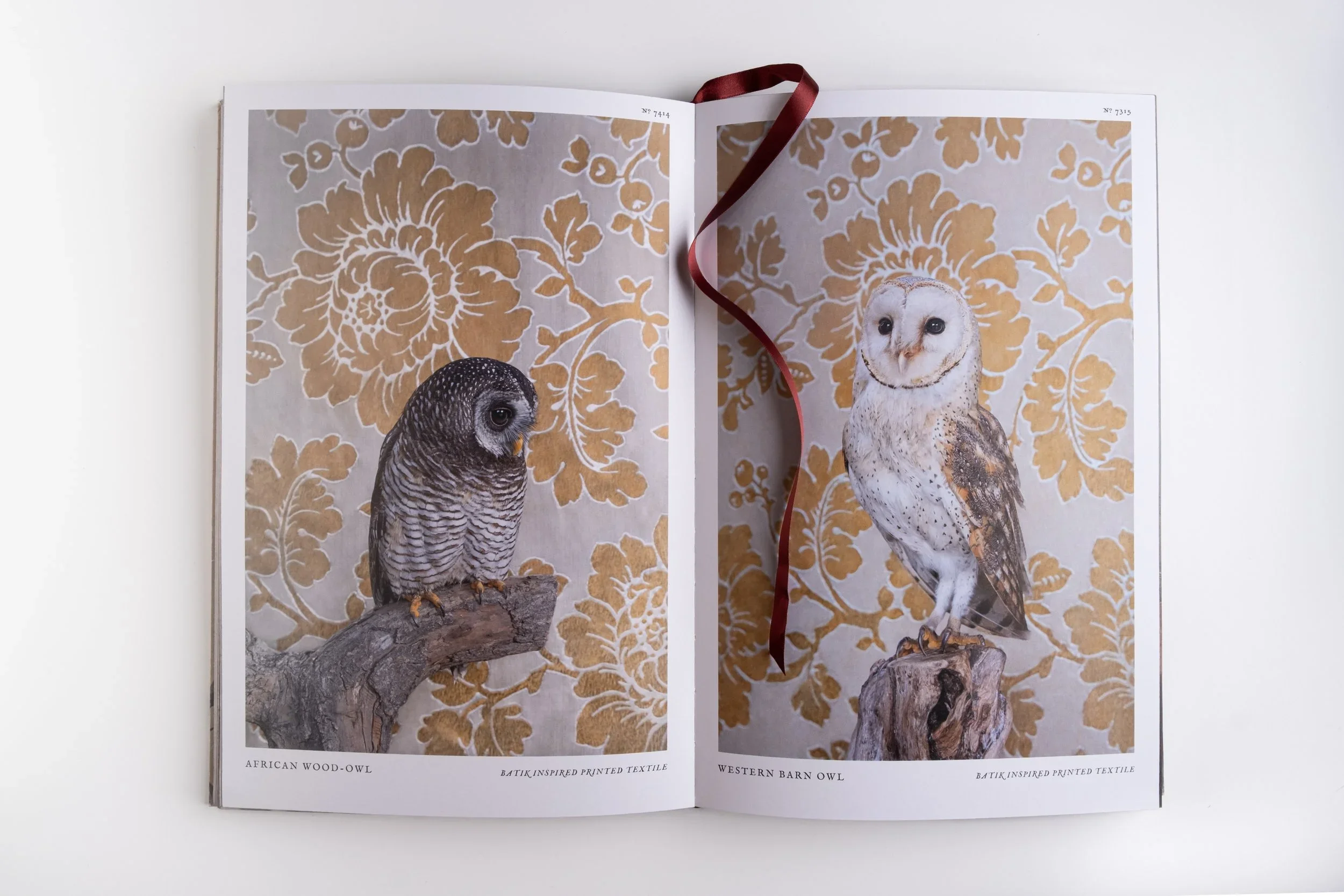BirdsofaFeather_ClaireRosen_Book_DSF9712.webp